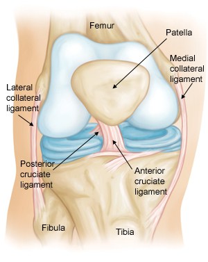 Front view of right knee